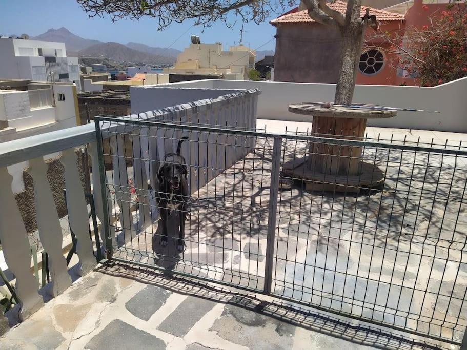 Vivenda Com Patio, No Coracao Do Mindelo Villa Eksteriør billede